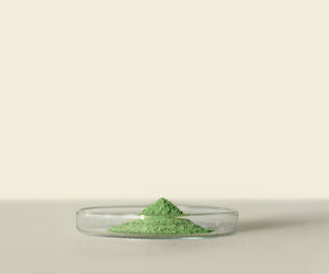 Matcha Way Midori™ Bulk Size